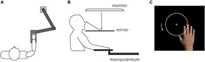 The Relationship Between the Virtual Hand Illusion and Motor Performance